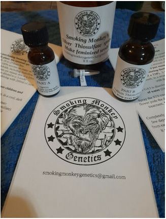 STS, Silver Thiosulfate. Kits to make Feminized Seeds + GA3