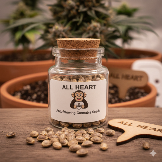 All Heart
